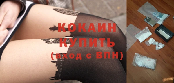 спиды Бородино