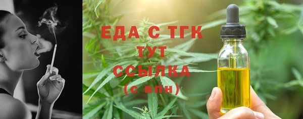 спиды Бородино