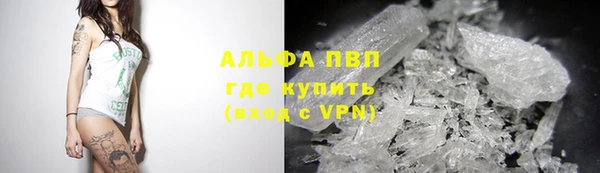 спиды Бородино