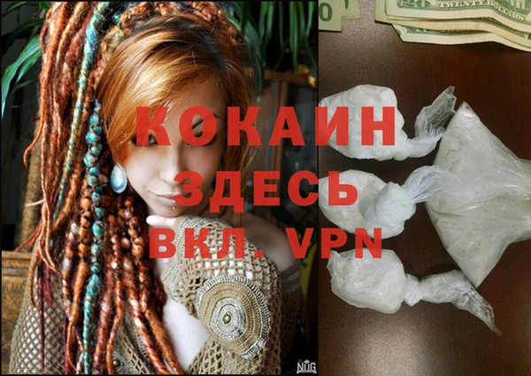 спиды Бородино