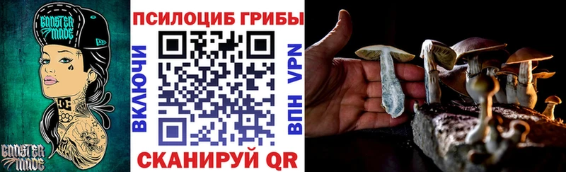 Купить  Белый  Псилоцибиновые грибы MAGIC MUSHROOMS 